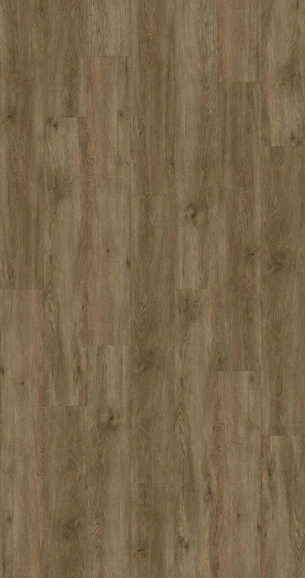 Ferrano Fascino Aged Burl Plank 2.5mm LVT Flooring