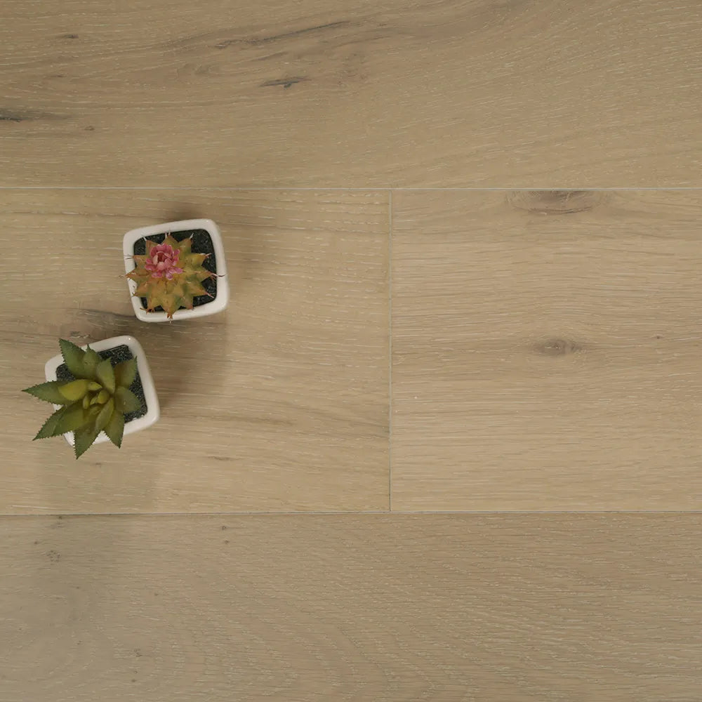 Floor Supplies Online Maxiply Embleton Oak Brushed Matt Lacquered Click 12x190mm 12mm Engineered Wood Flooring